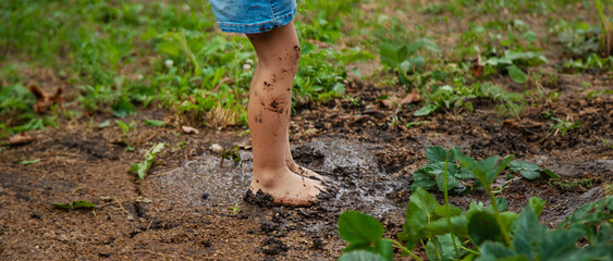 Wall Mural - a child in the dirt in the garden holds the soil in his hands. Selective focus.