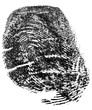 Single black fingerprint made with ink isolated on a white background. Real fingerprint.
