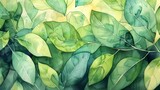 Fototapeta Kwiaty - Abstract watercolor background green leaves