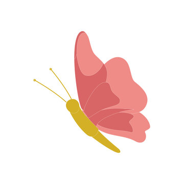 Butterflies of different colors and shapes isolated on white background. Beautiful flying insects. Vector illustration in cartoon flat style.
