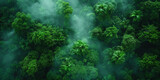 Fototapeta Zwierzęta - An aerial view of a lush, dense tropical rainforest enveloped in a mystical layer of fog, highlighting the richness of the ecosystem..