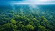 Generative AI image of Overlooking a dense forest from a bird's eye view, Glowing radioactivity