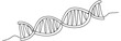 © Віталій Баріда - DNA continuous one line drawing. Genome linear structure symbol. Vector illustration isolated on white.