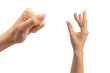 © Nikolay - Woman hand isolated on a white background.