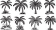 © Cris - palm trees, ornamental vectors black and white colorless vectors