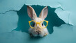 a white rabbit in yellow glasses emerges from a hole in a soft blue wall
