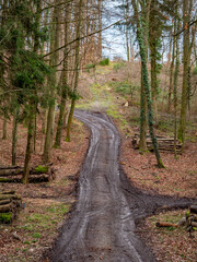 Poster - Schlammiger Waldweg