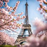 Fototapeta Miasta - Pink cherry blossom trees with Eiffel Tower background in springtime 