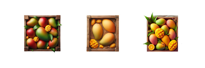 Wall Mural - Set of Top view of mangoes on wooden boxes, illustration, isolated over on transparent white background
