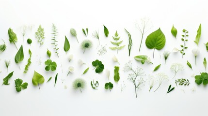 Poster - A variety of green and white flowers and leaves. Perfect for botanical or nature-themed designs