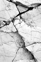 Poster - A black and white photo of a cracked rock. Suitable for geological publications