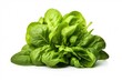 A pile of spinach leaves on a clean white background. Perfect for healthy eating concept