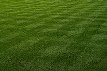 Baseball Or Softball Outfield Is Seen, Mowed In A Pattern Before A Game.