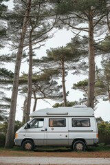 Wall Mural - Camping in the forest of the motorhome . Holidays in a camper van