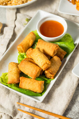 Canvas Print - Chinese Deep Fried Vegetable Egg Rolls