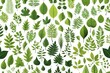 Leaves icon vector set isolated on white background. Various shapes of green leaves of trees and plants set of isolated green leaves vector icon design on white background. Various shapes of green lea