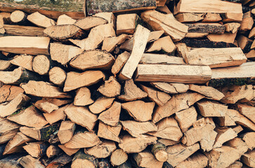 Wall Mural - Background of dry chopped firewood logs in pile