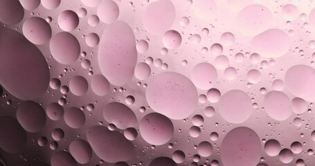 Wall Mural - slow motion macro of floating micro particles molecules in liquid are analyzed with microscope by ch