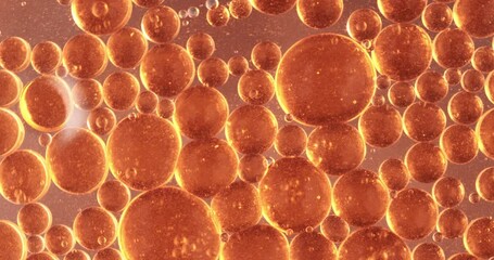 Wall Mural - slow motion macro of floating micro particles molecules in liquid are analyzed with microscope by ch