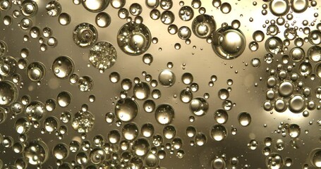 Wall Mural - slow motion macro of floating micro particles molecules in liquid are analyzed with microscope by ch