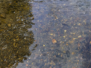 The Salmon River in Summer Okanagan BC Background Space for Text