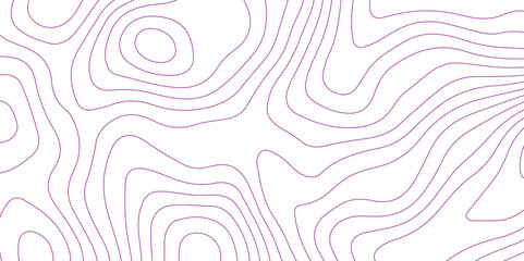 Abstract background with topographic contour map with purple color geographic line map .white wave paper curved reliefs abstract background .vector illustration of topographic line contour map design.