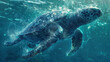 A turtle entangled in a net underwater