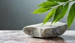 granite stone with branch green leaf on studio background