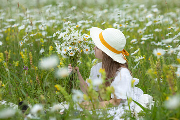 Wall Mural - A lovely little happy blonde hair girl with the bouquet of chamomiles in the flowering field in a sunny summer day