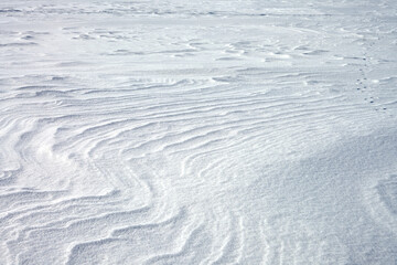 Wall Mural - Wavy pattern of compacted snow on the surface of a frozen and snow-covered body of water. Texture. Copy space.