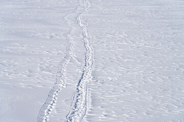 Wall Mural - Winter road on a frozen water body. A four-wheeled motorcycle rut on a paid snow cover. Copy space.