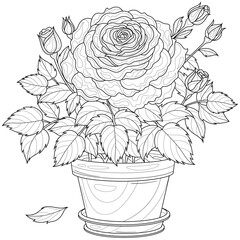 Wall Mural - A rose in a pot.Coloring book antistress for children and adults.	