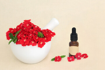 Wall Mural - Red verbena herb flowers with essential oil bottle. Used herbal medicine as a sedative, treats insomnia, depression, arthritis, female problems, heart conditions. On hemp paper. Peruviana.