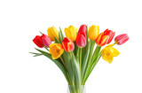 Fototapeta Tulipany - A bouquet of tulips in a transparent vase isolated on a white background