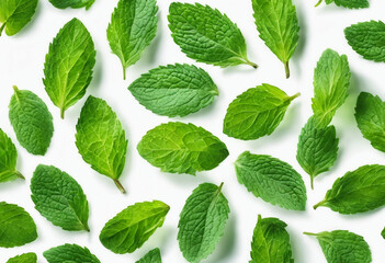 Wall Mural - Fresh mint leaves set isolated on white background