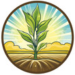 Grüner Mais auf sonnigem Ackerland Illustration Vektor