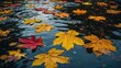 Colorful fall leaves in pond lake water, floating autumn leaf, Fall season leaves in rain puddle, Sunny autumn day foliage, October weather, november nature background