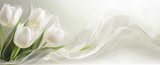Fototapeta Tulipany - Białe kwiaty, tulipany na pastelowym tle, puste miejsce, tapeta