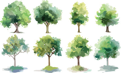 Set of watercolor green tree isolated on white background for landscape and architecture drawing, elements for environment and garden, botanical for section in spring