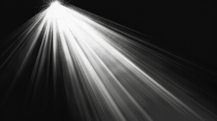 Wall Mural - sun light overlay. sun rays overlay. sun rays light isolated on black background for overlay design.
