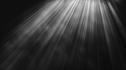 Wall Mural - sun rays light isolated on black background for overlay design
