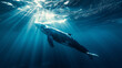 a cinematic photo of a whale in the deep blue sae, Whale is close to camera, beautiful Blue water,  stunning sunbeams cutting through the water