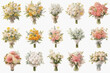 set of flowers 79