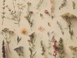 Herbal apothecary aesthetic. Dry herbs and flowers on a beige background. With Generative