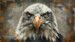 Bald eagle. Bird portrait. three-piece feather freedom headshot.