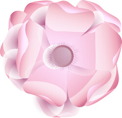 Wall Mural - Realistic pink flower on white background.