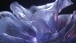 Midnight Glow: Under the cloak of night, the Ipomoea alba flower emits a gentle, silvery luminosity.