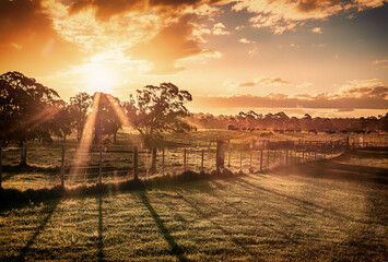 Wall Mural - The sunset view of the countryside Gippsland in regional Victoria