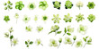 © gunzexx png and bg - Collection of green flower isolated on a white background as transparent PNG