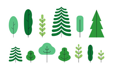 Poster - Forest trees set. Green plants, natural botanical floral elements collection. Fir conifer and leaf vegetations in modern simple style. Abstract flat vector illustrations isolated on white background